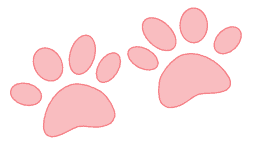 Destiny's Grooming - Pink Dog Paws
